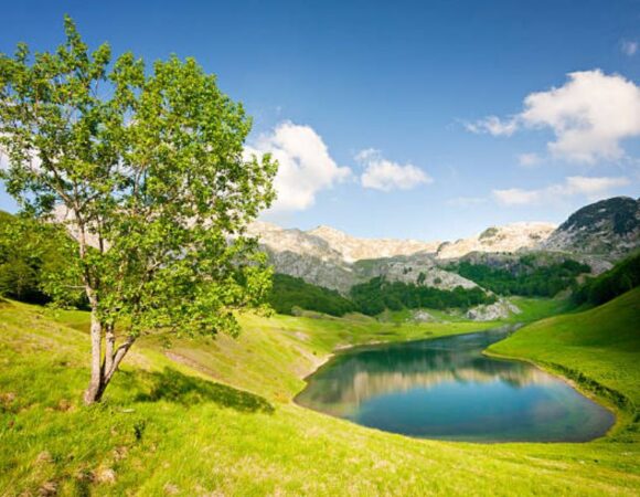 Orlovacko and Jugovo lake – Zelengora Green trail
